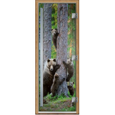 Дверь для бани Престиж фотопечать А064